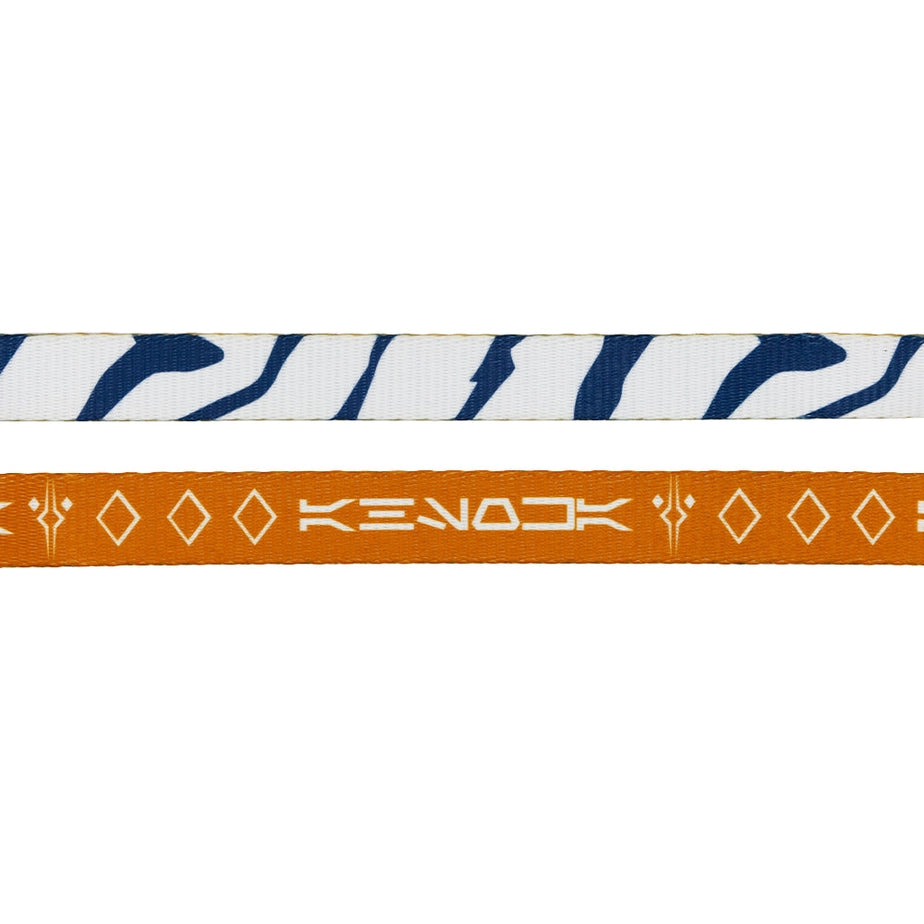 Sassy Woof Dog Leash - Star Wars™ Ahsoka